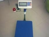 帶上下限報警燈功能電子臺秤